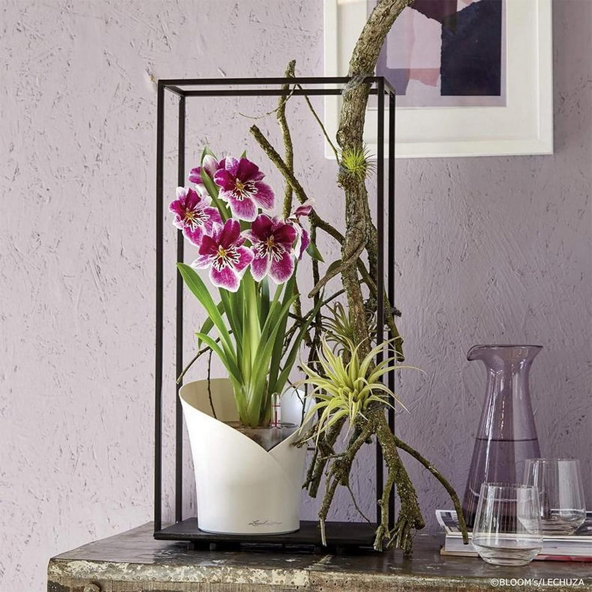 Lechuza Orchid Vase