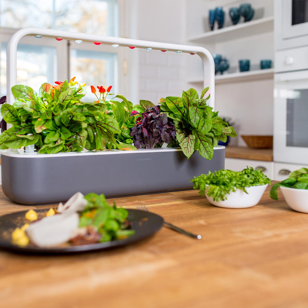 Click and Grow The Smart Garden 9